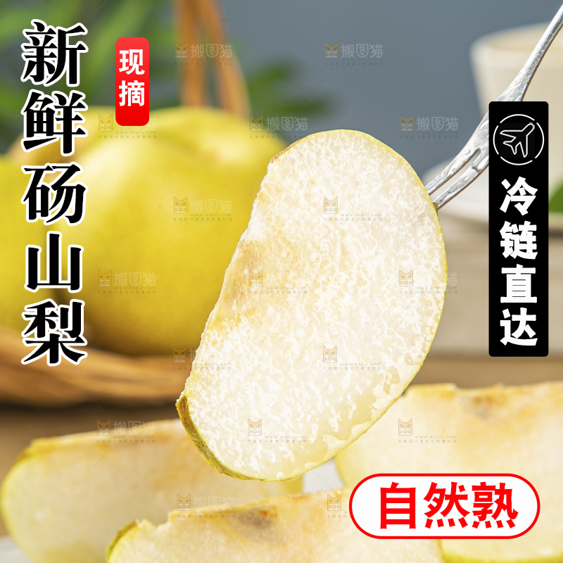 浅底上的砀山梨