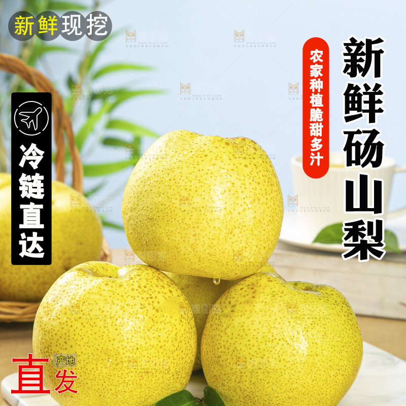 浅底上的砀山梨