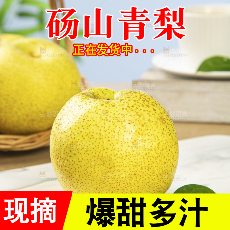 浅底上的砀山梨