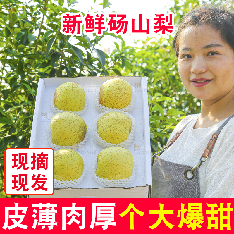 手里拿着一盒砀山梨