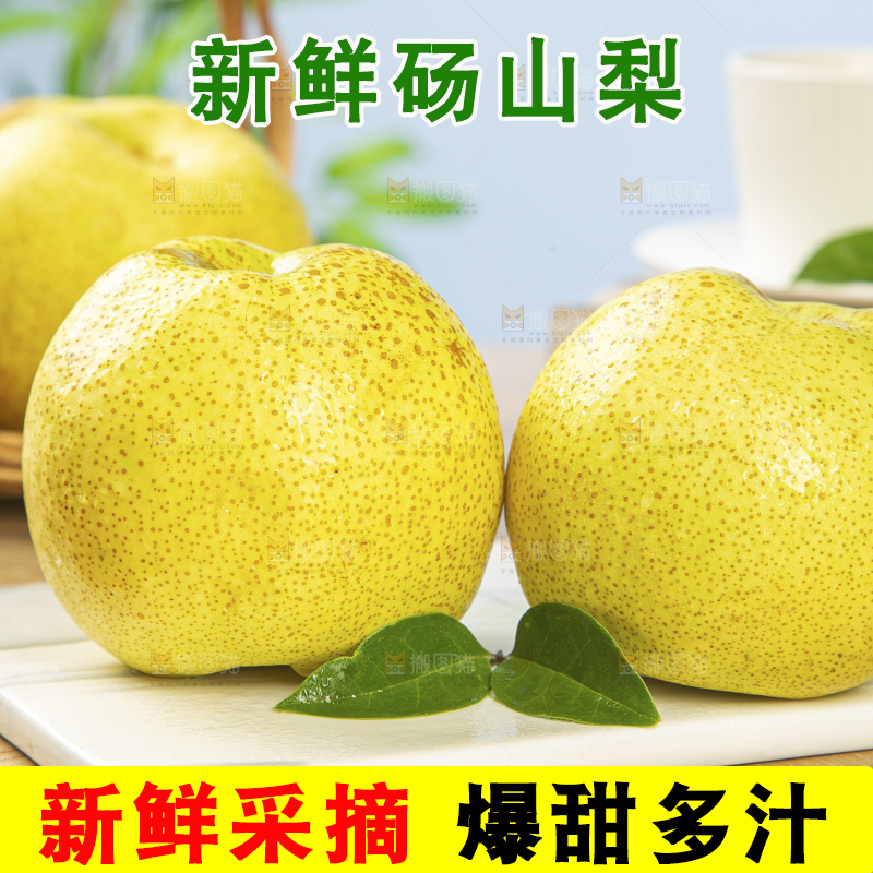 浅底上的砀山梨