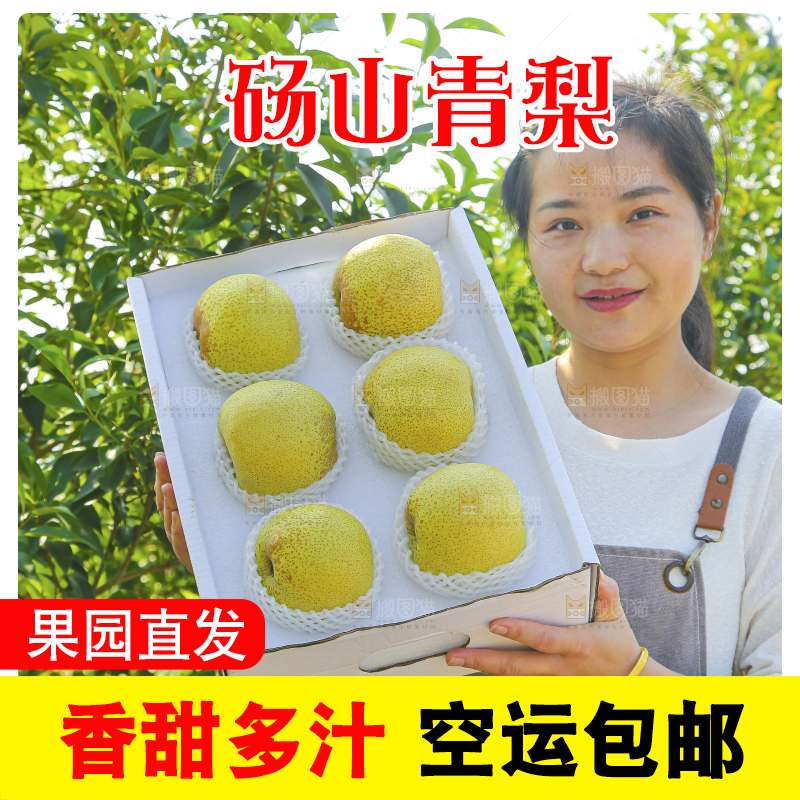 手里拿着一盒砀山梨