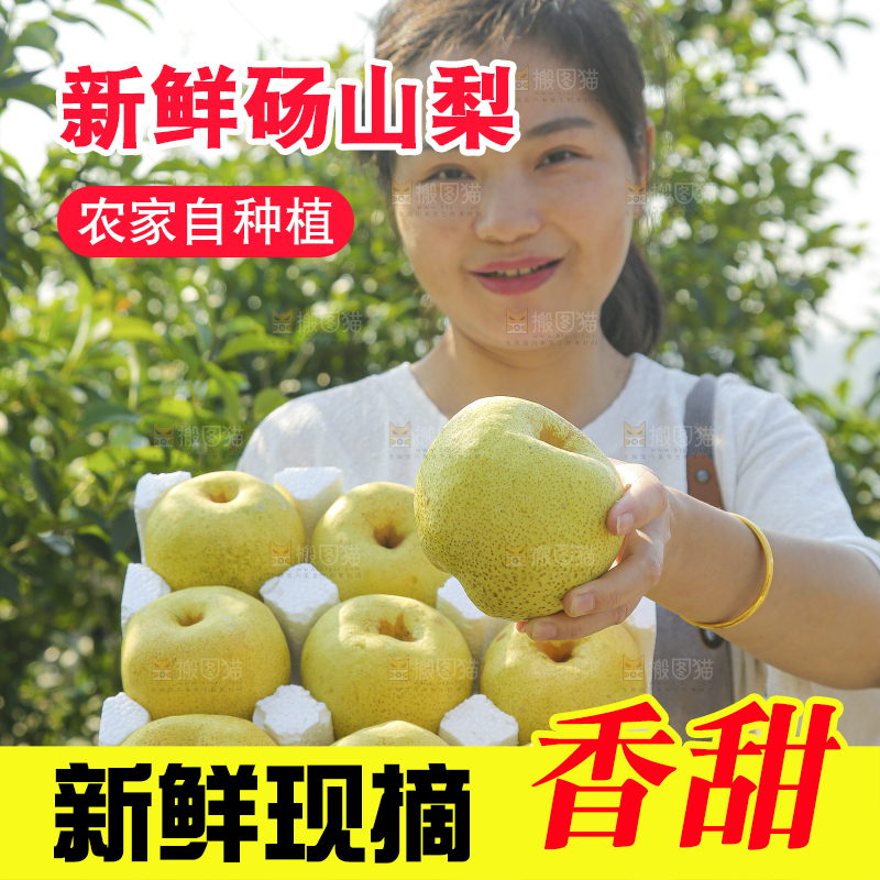 手里拿着一盒砀山梨