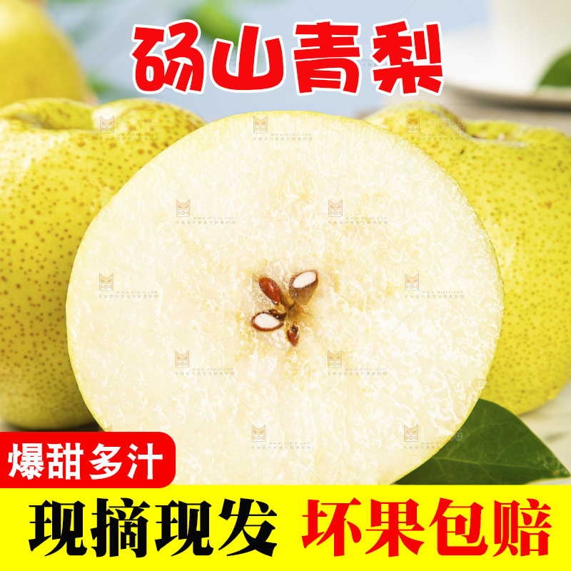 浅底上的砀山梨