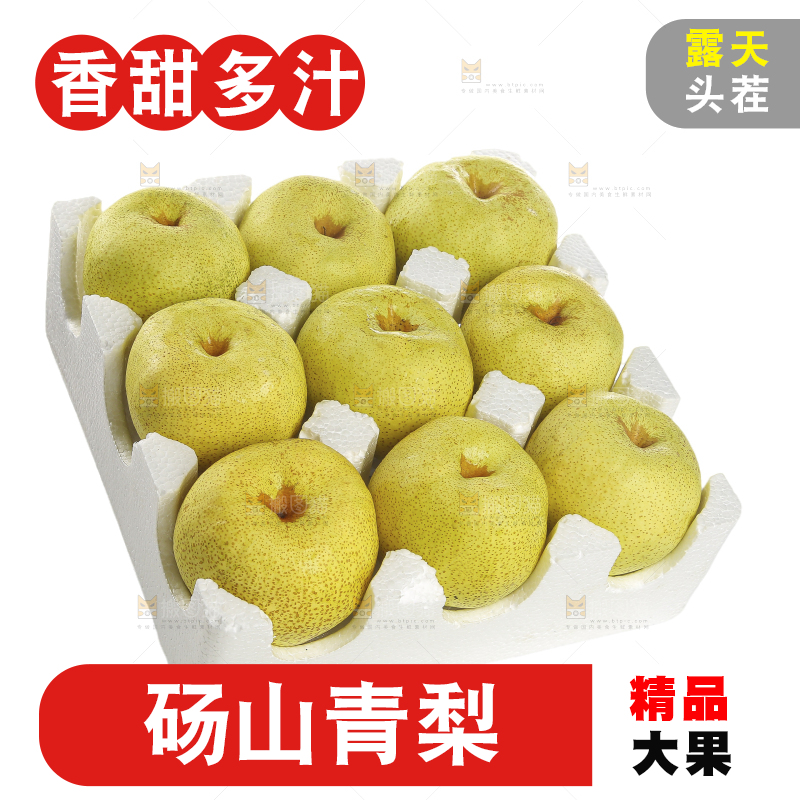 白底上的砀山酥梨