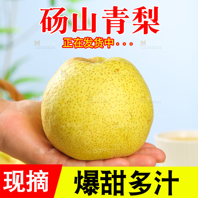 浅底上的砀山梨