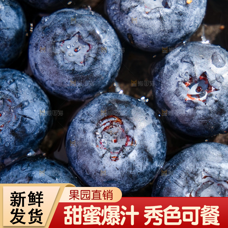 深底上的怡颗莓
