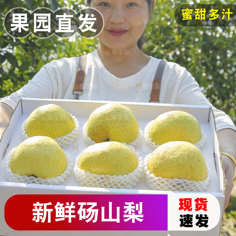 手里拿着一盒砀山梨
