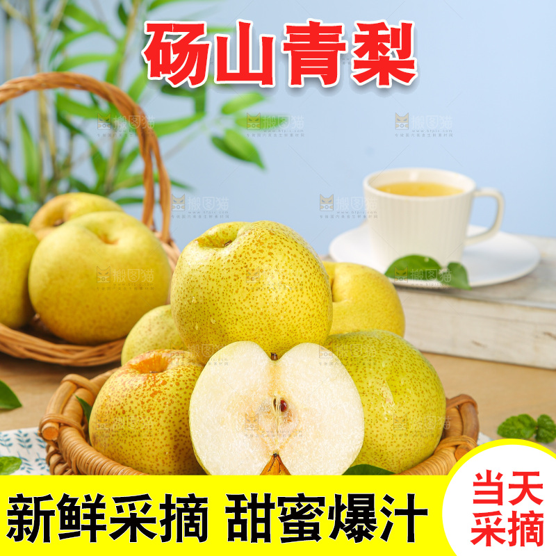 浅底上的砀山梨