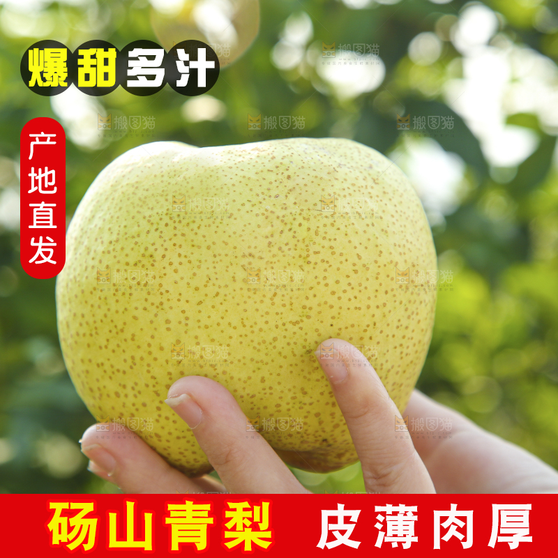 手里拿着一盒砀山梨