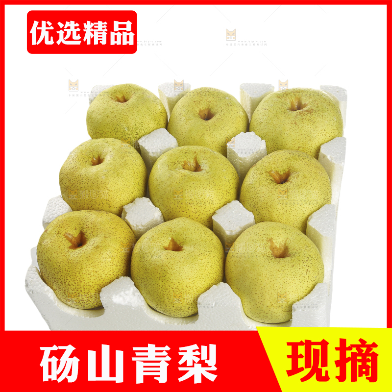白底上的砀山酥梨