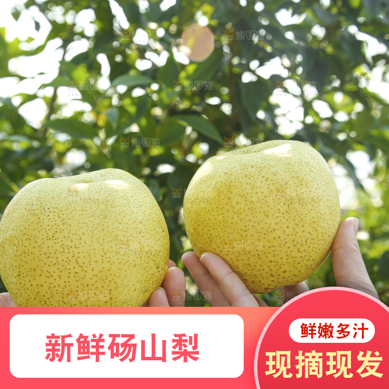 手里拿着一盒砀山梨