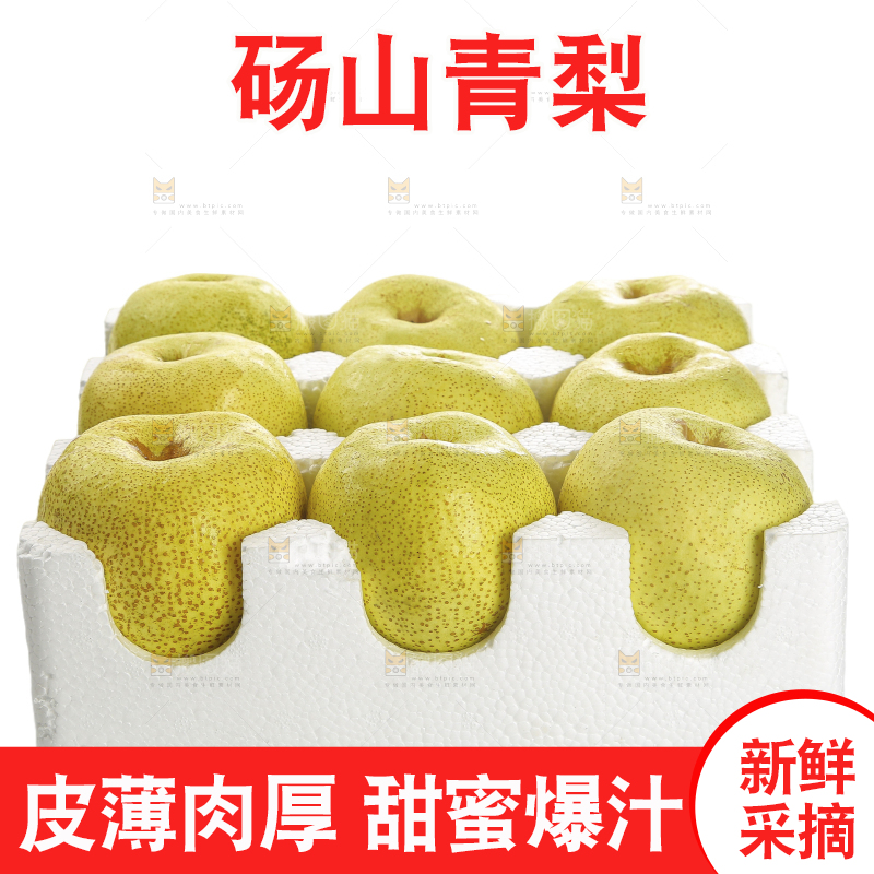 白底上的砀山酥梨