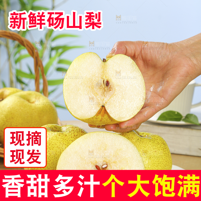 浅底上的砀山梨
