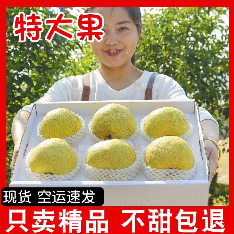 手里拿着一盒砀山梨