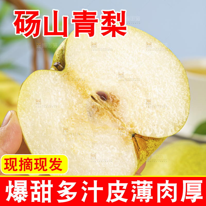 浅底上的砀山梨