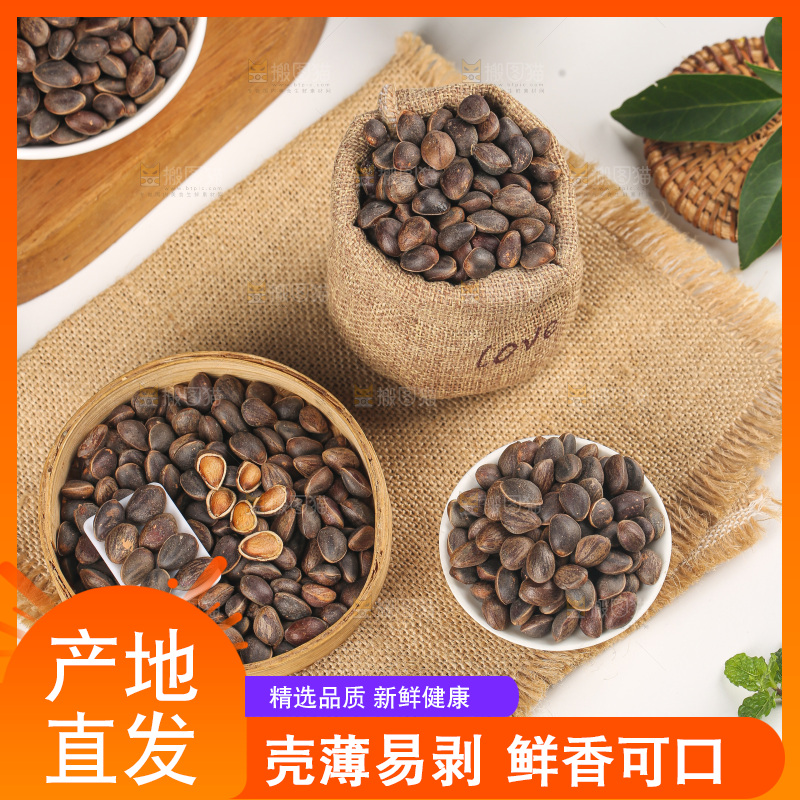 浅底上的新鲜松子