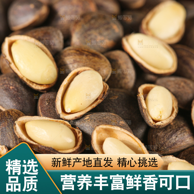 木底上的新鲜松子