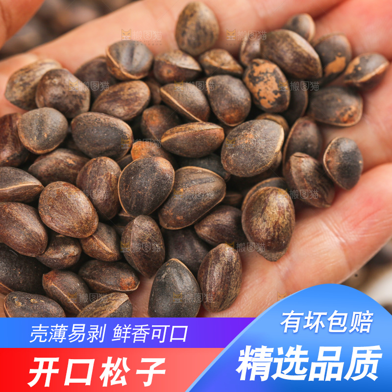 浅底上的新鲜松子