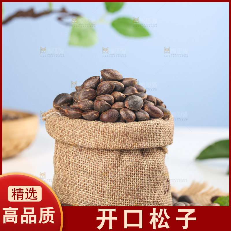 浅底上的新鲜松子