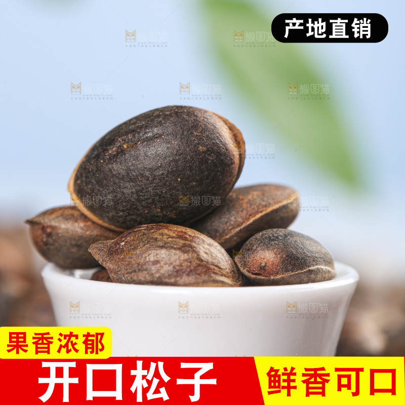 浅底上的新鲜松子