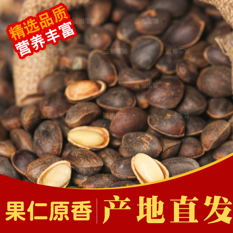 浅底上的新鲜松子