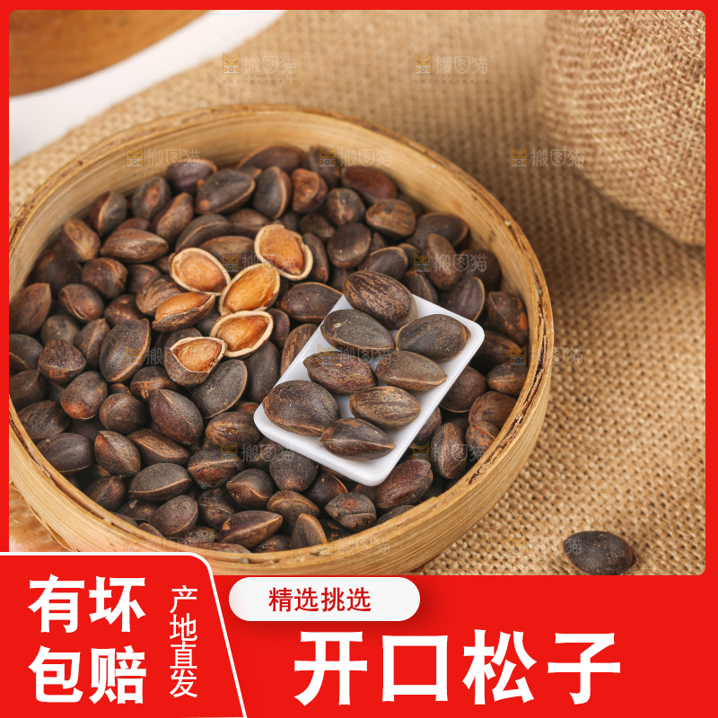 浅底上的新鲜松子