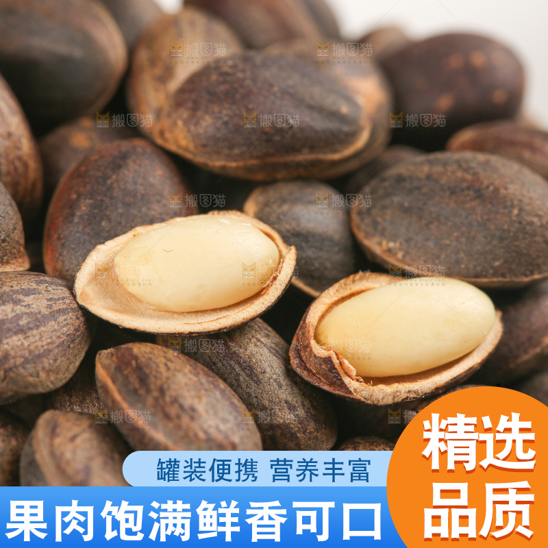 浅底上的新鲜松子