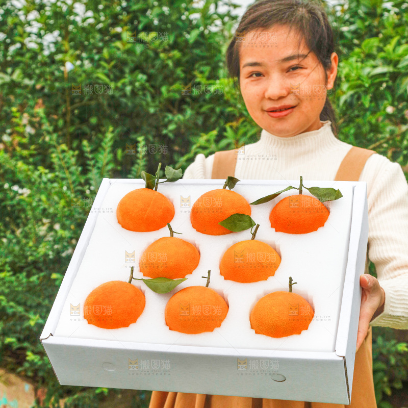 礼盒里的红美人柑橘