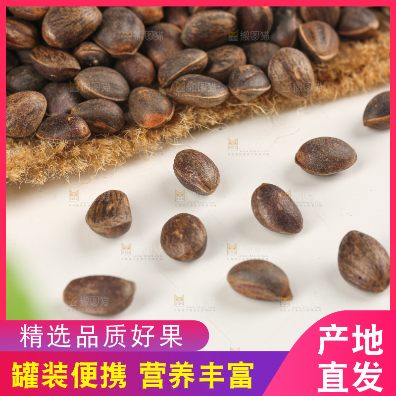 浅底上的新鲜松子