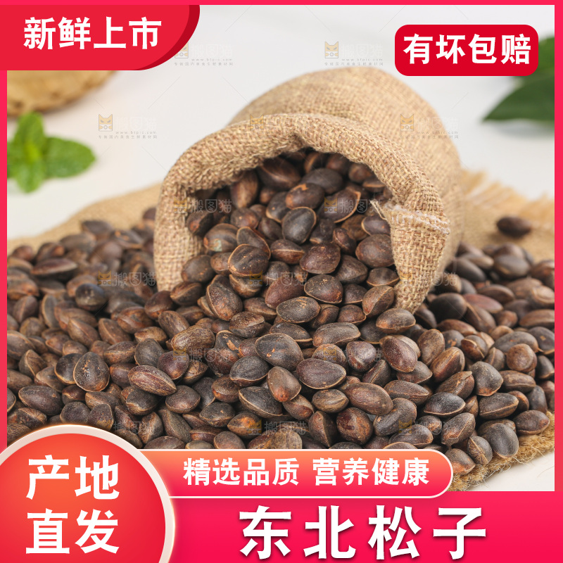 浅底上的新鲜松子