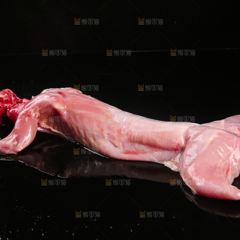 深底上的新鲜兔子