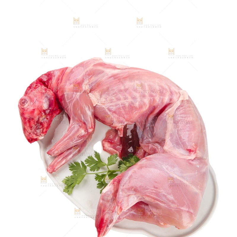 白底上的新鲜兔肉