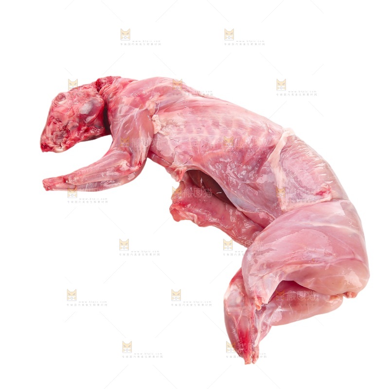 白底上的新鲜兔肉