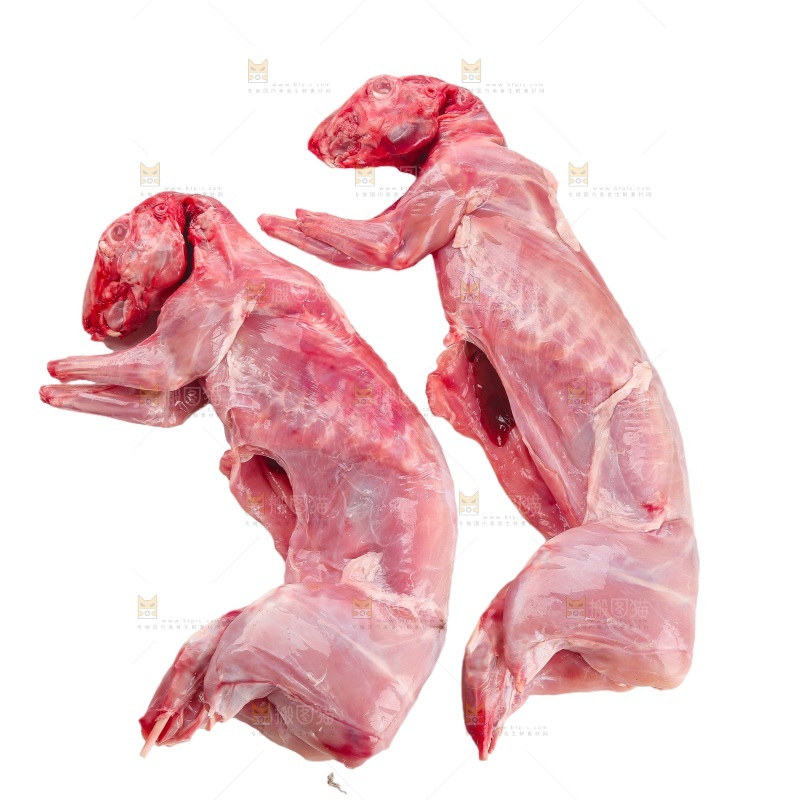 白底上的新鲜兔肉