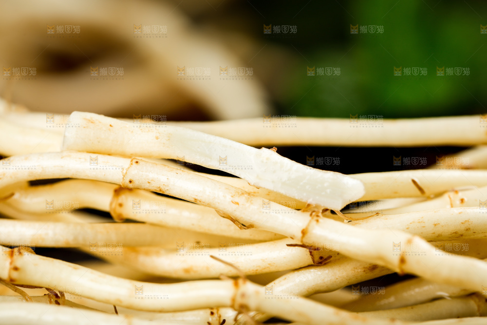 深底上的折耳根
