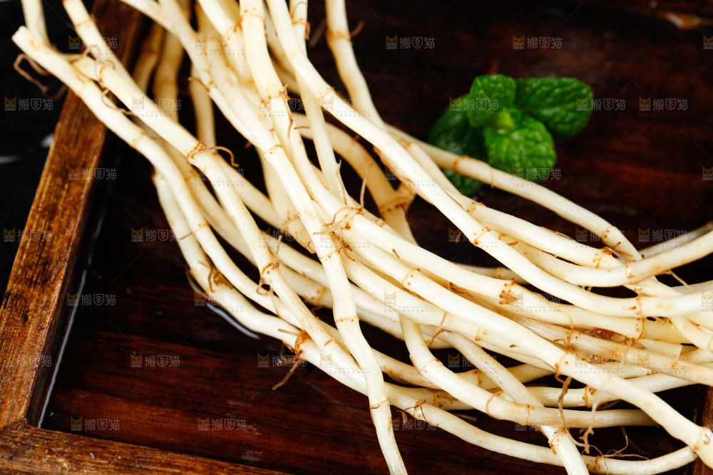 深底上的折耳根
