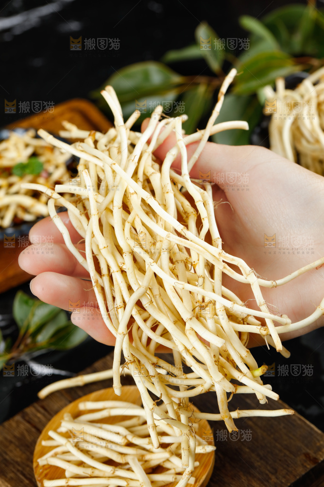 深底上的折耳根
