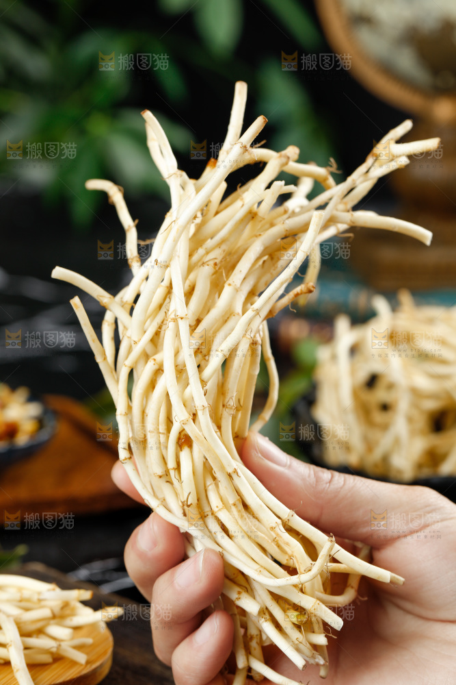 深底上的折耳根