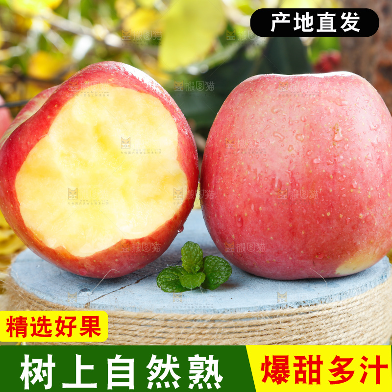 浅底上的红富士苹果