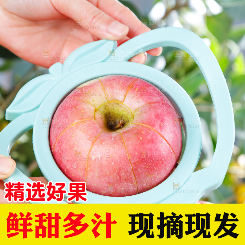 浅底上的红富士苹果