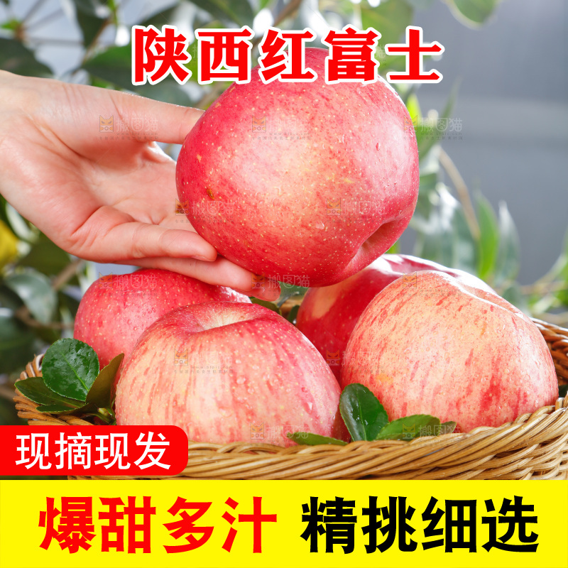 浅底上的红富士苹果