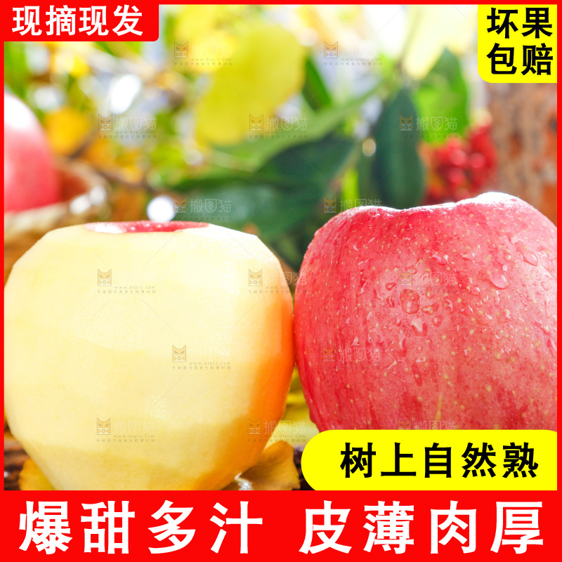 浅底上的红富士苹果