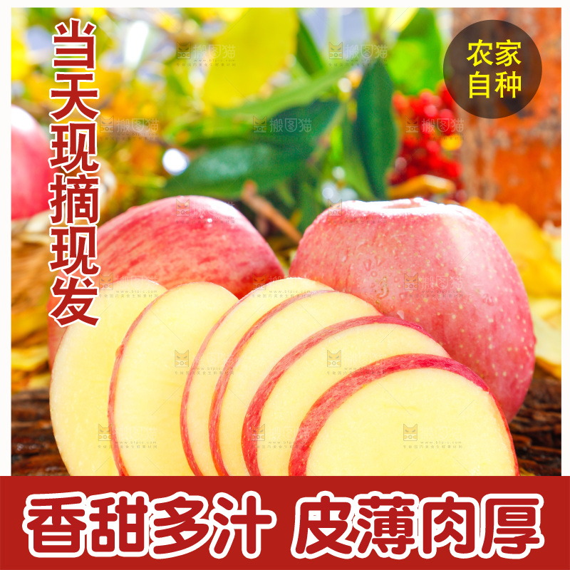 浅底上的红富士苹果