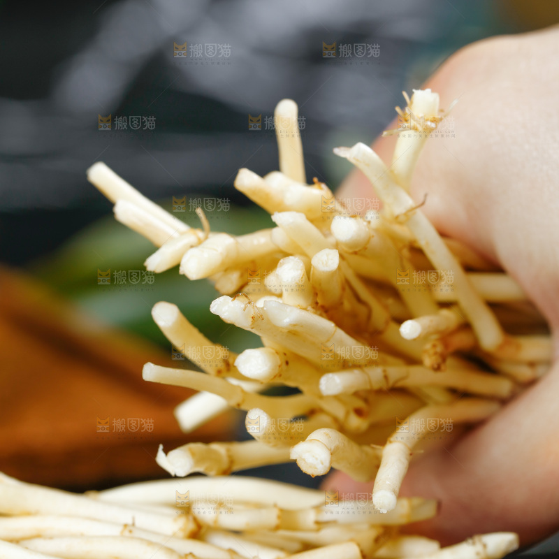 深底上的折耳根