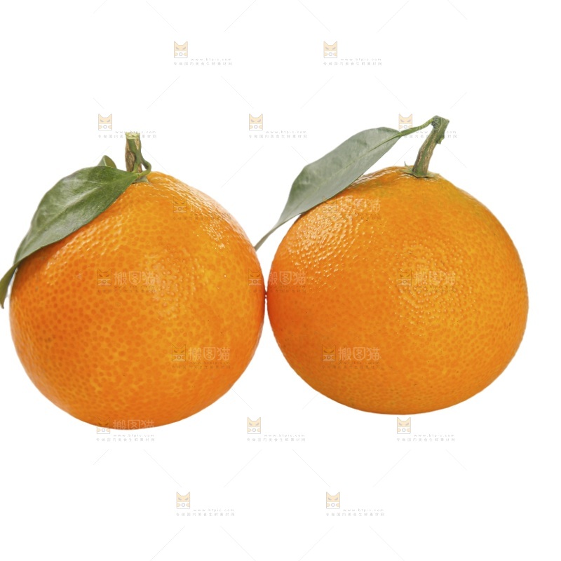 白底上的爱媛果冻橙