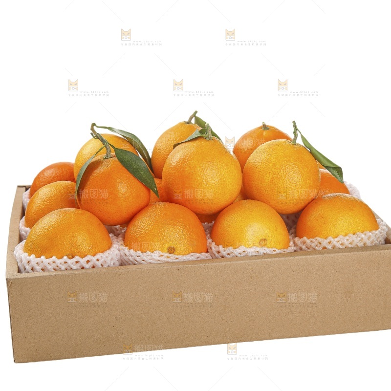 白底上的爱媛果冻橙