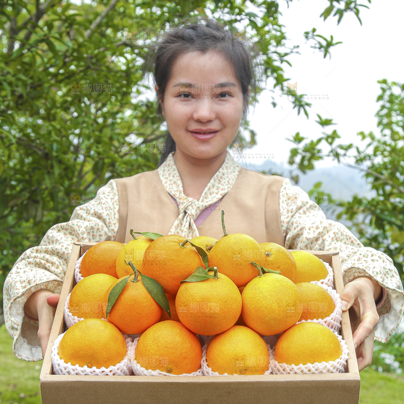 手里拿着爱媛果冻橙