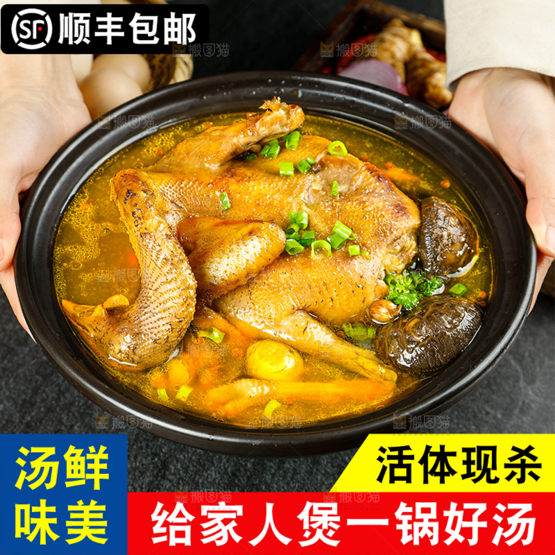 老母鸡主图