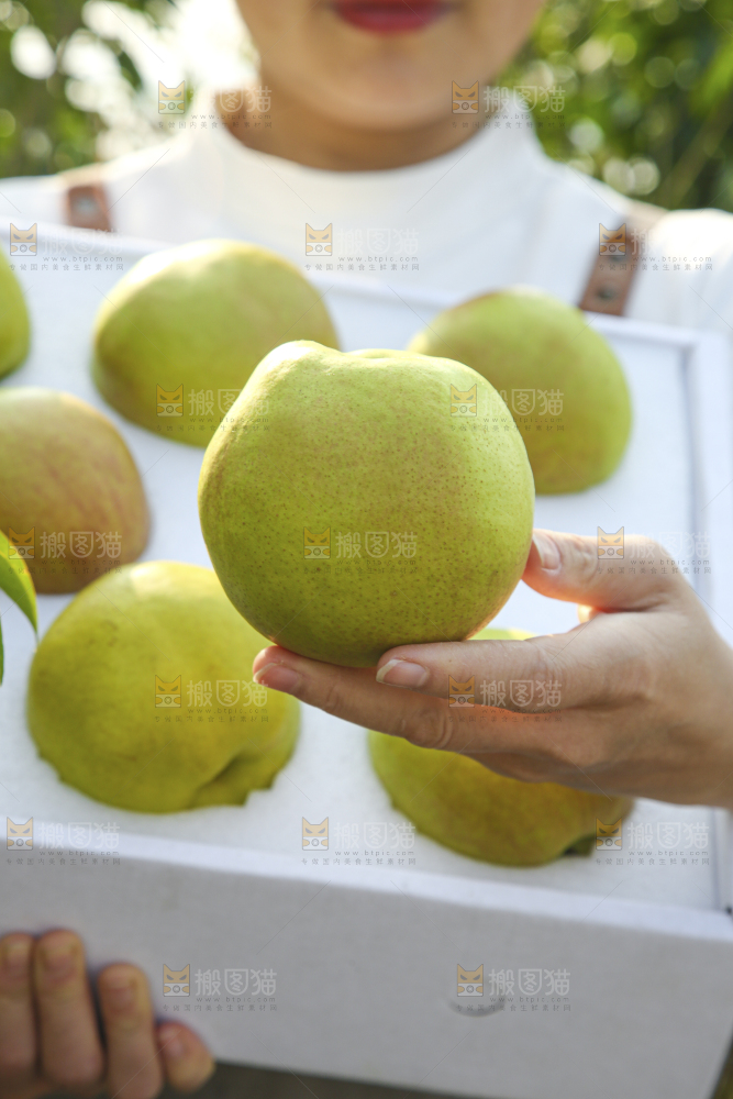 礼盒里的玉露香梨